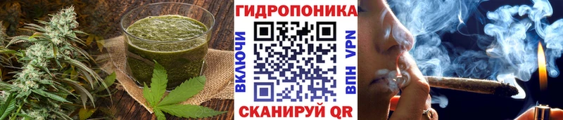 Canna-Cookies конопля Вичуга