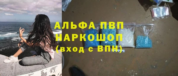 МДПВ Богородск