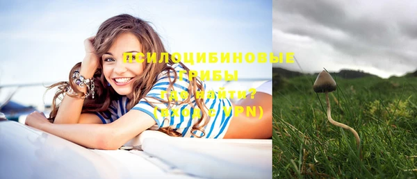 прущие грибы Белоозёрский