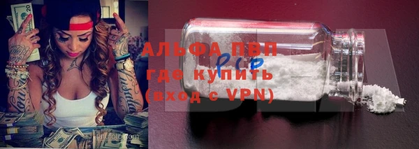 амф Богданович