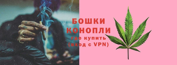 прущие грибы Белоозёрский