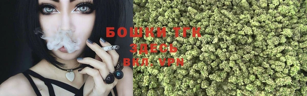МДПВ Богородск