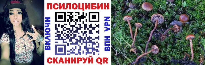 Галлюциногенные грибы GOLDEN TEACHER Вичуга
